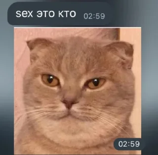 Стикер sex - 5