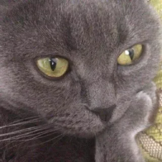 Стикер sex - 10