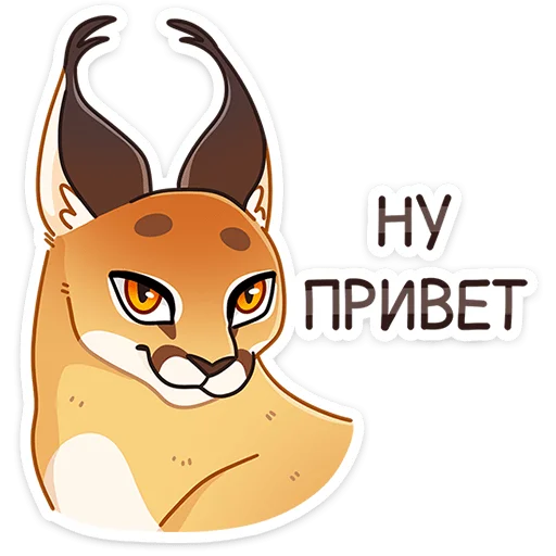 Сеймурр ::  @stickroom - 