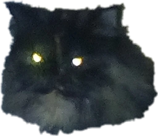 Стикер sfaodx - 1