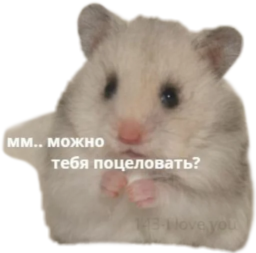 Стикер sfaodx - 1