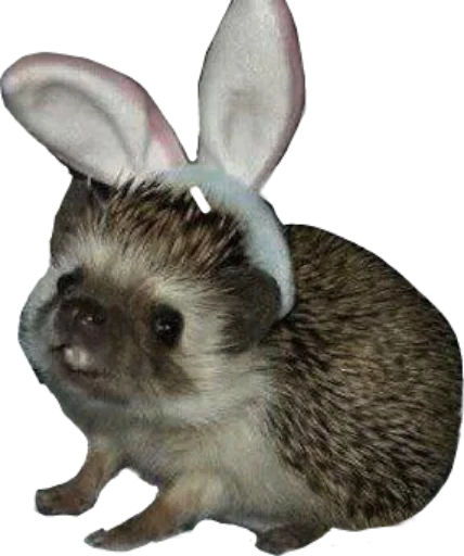 Стикер sfaodx - 1