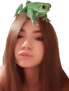 Sticker sfaodx или три шестерки под номером тринадцать - 11