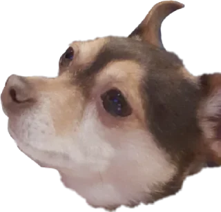 Sticker sfaodx или три шестерки под номером тринадцать - 0