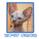 Sticker Сфинкс - 6