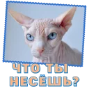 Sticker Сфинкс - 2