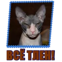 Sticker Сфинкс - 1