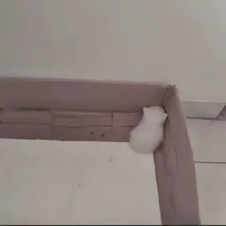 Стикер Больше стиков тут: @stikery4 - 2