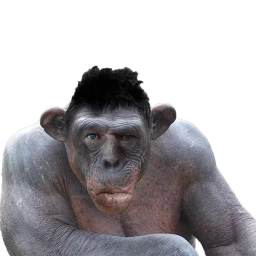 Стикер Глад Валакас by @fStikBot - 0