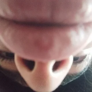 Sticker 50 оттенков раши 😈 by @LegushkaStickers - 3