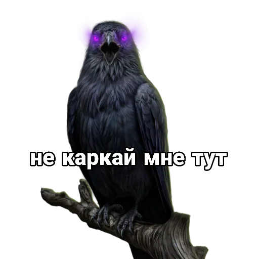 Стикер shakespearescode - 1