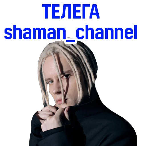 Стикер SHAMAN - 6