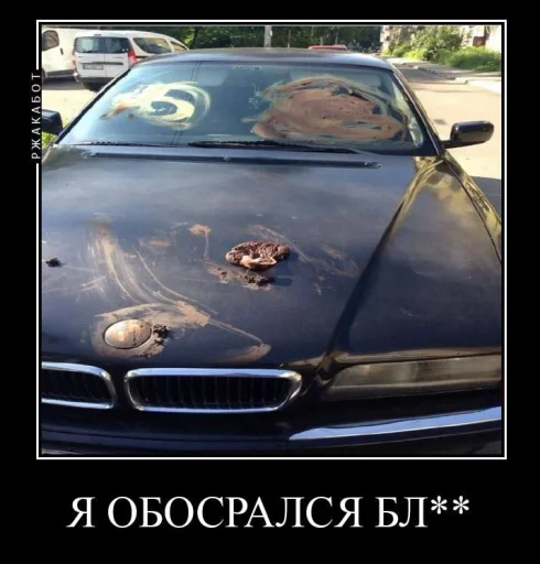 Стикер shampunka_by_MoiStikiBot - 1