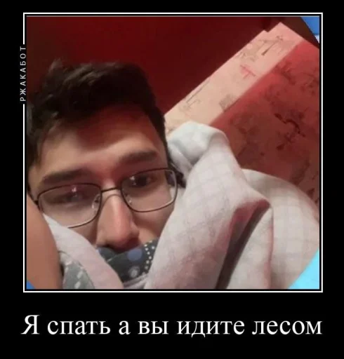 Шампунька @MoiStikiBot - 