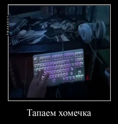 Sticker shampunka_by_MoiStikiBot - 1