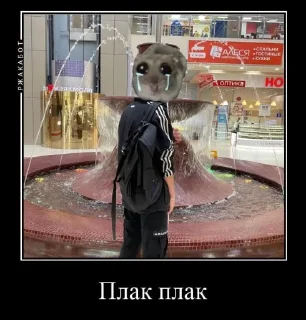 Стикер Шампунька @MoiStikiBot - 2