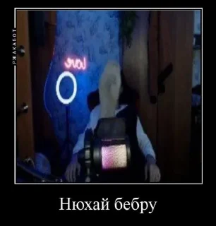 Стикер Шампунька @MoiStikiBot - 5