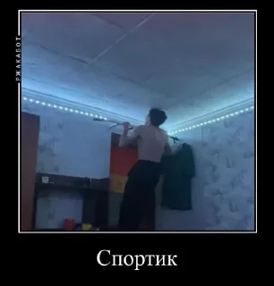 Стикер Шампунька @MoiStikiBot - 7