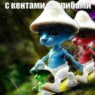 Sticker Шайлушай @TgStickerc - 7