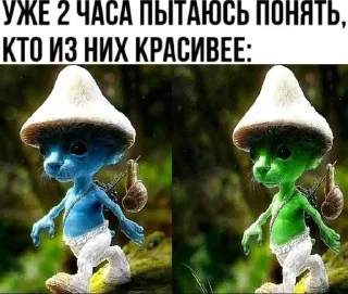 Sticker Шайлушай @TgStickerc - 6