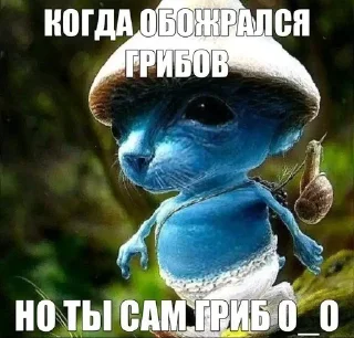 Sticker Шайлушай @TgStickerc - 9