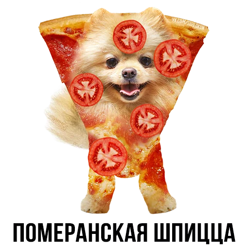 text fast food animal