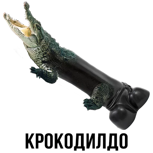 animal crocodilian reptile reptile