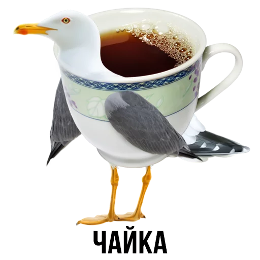 bird drinkware drink