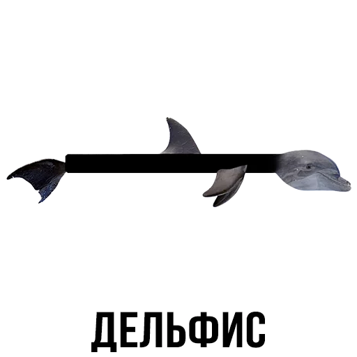 СМС рыба животное