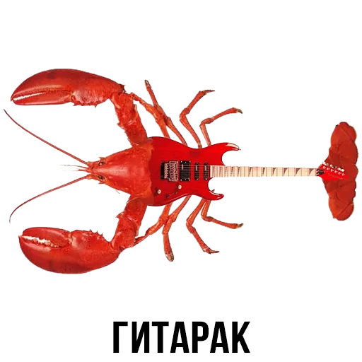 беспозвоночный животное СМС