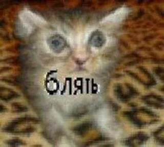 Sticker шчит - 7