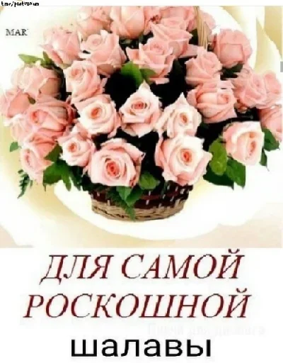 text rose birthday cake