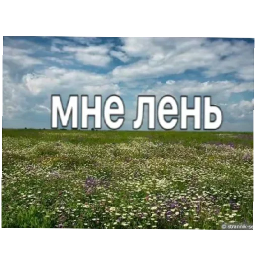 Стикер shedevrostikery16 - 1