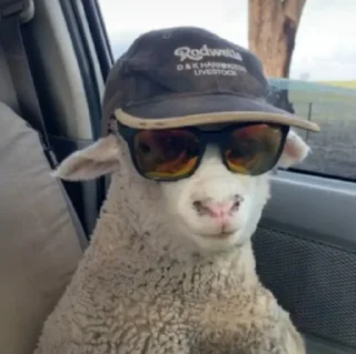 Sticker sheep🐑 - 5