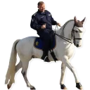 Sticker poliția - 4