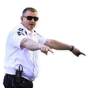 Sticker poliția - 10