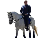 Sticker poliția - 3