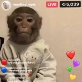 Sticker Shenetha CockTail Vol.2 by @Gay4Gaga - 0