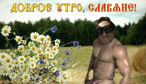 plant outdoor person