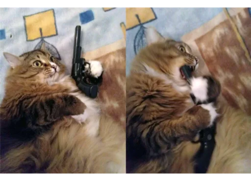 Sticker by shera - 4