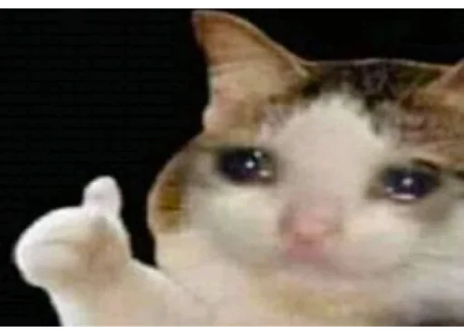 Sticker by shera - 3