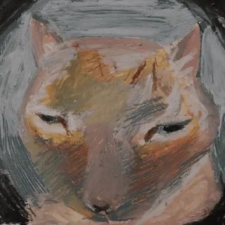 Стикер Катейки💗 @shershnua - 3