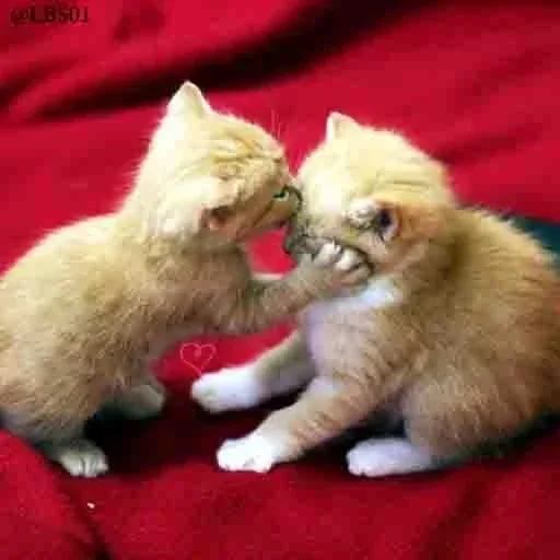 Стикер shgfjcks_by_fStikBot - 1