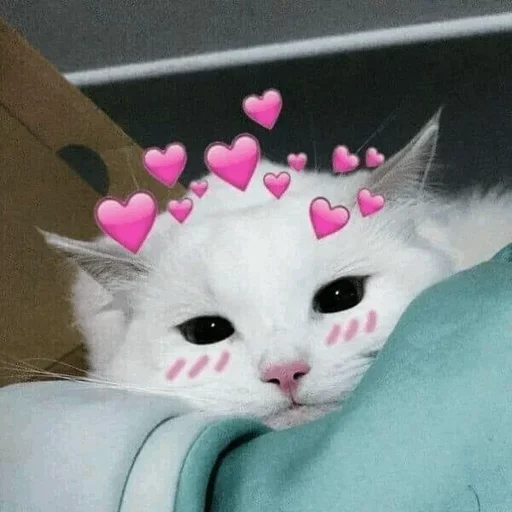 Стикер shgfjcks_by_fStikBot - 1