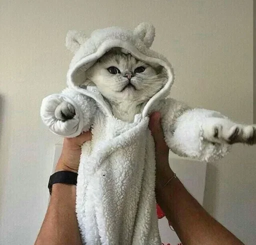 Sticker ezhikk :: @fStikBot - 6