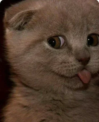 Sticker ezhikk :: @fStikBot - 2