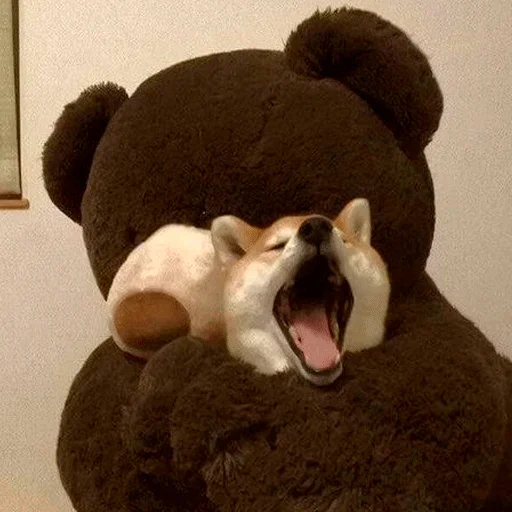 Тедди фаршированный комнатный