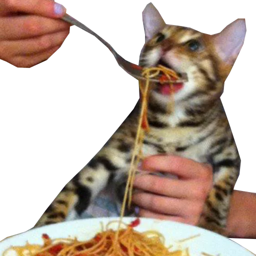 Стикер shibea - 1