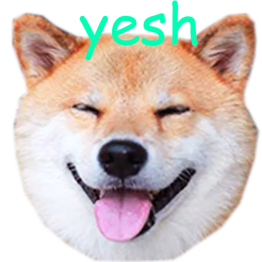 Sticker shibea - 1