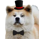 Стикер shibea - 10